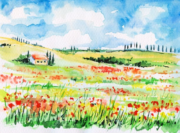 Landscape with cypress trees on colorful flowered field in Tuscany